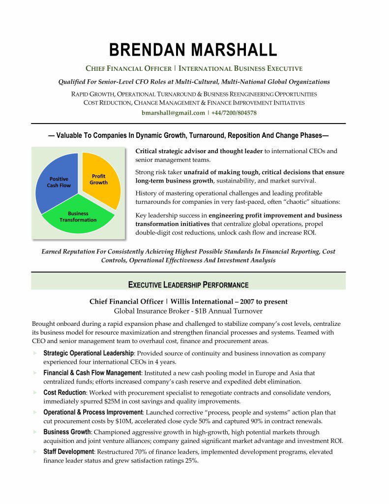 resume Resume Writing For Executives top executive resume writer global writing service certified writer